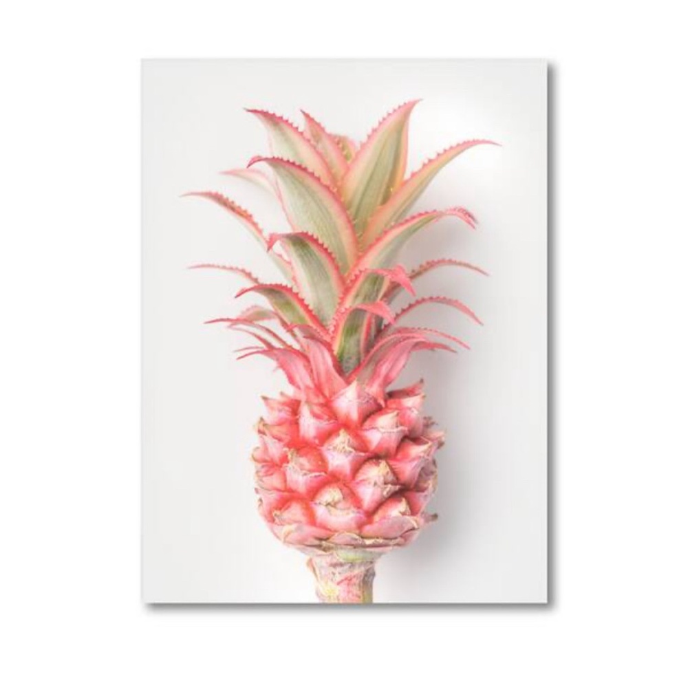 Tropical pineapple canvas art 12x16